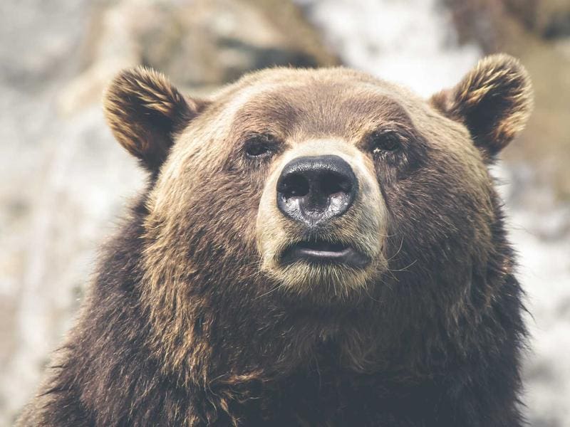 How Art Maintain Customer Service in 6 days
