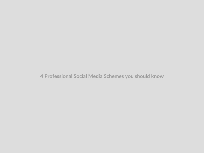 4 Professional Social Media Schemes you should know